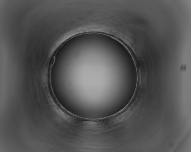 X0000090411500200707131135