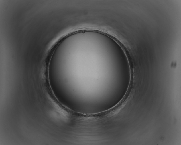 X0000090411502200707131135