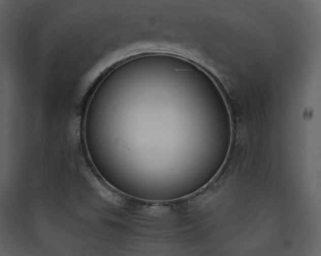 X0000090411503200707131135