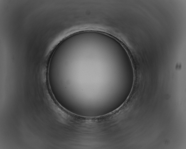 X0000090411504200707131135