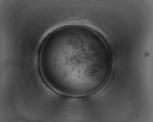 X0000090411506200707131135