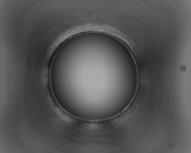 X0000090411507200707131135