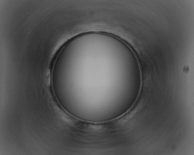X0000090411509200707131135