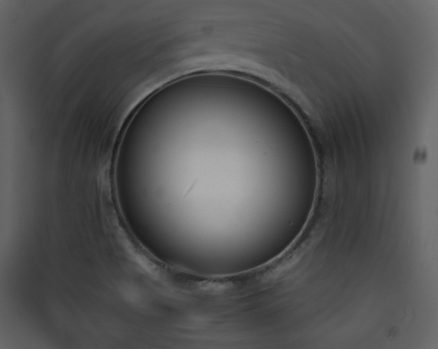 X0000090411513200707131135