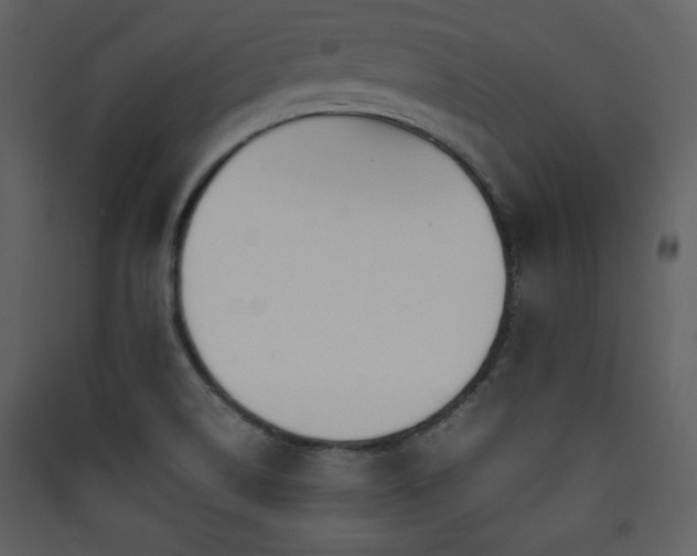 X0000090411514200707131135