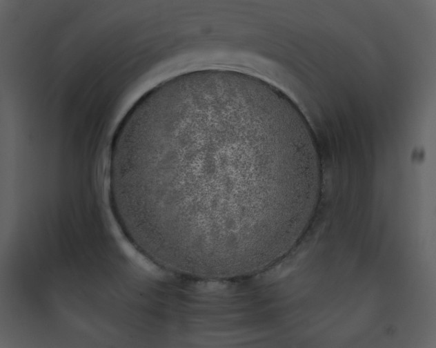X0000090411515200707131135