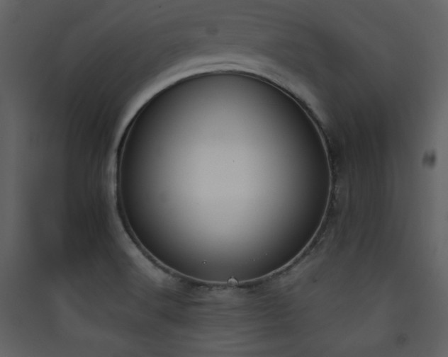 X0000090411516200707131135