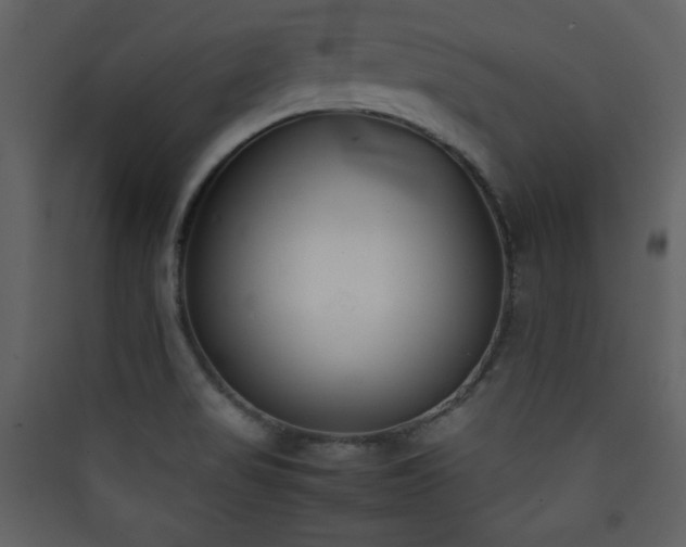 X0000090411517200707131135