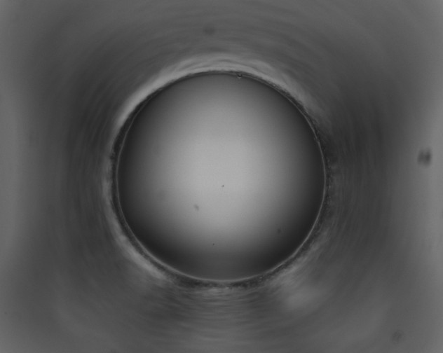 X0000090411518200707131135