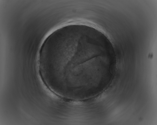 X0000090411522200707131136