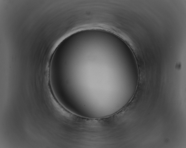 X0000090411524200707131136