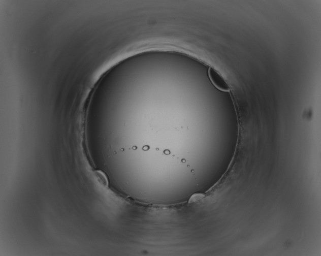X0000090411526200707131136