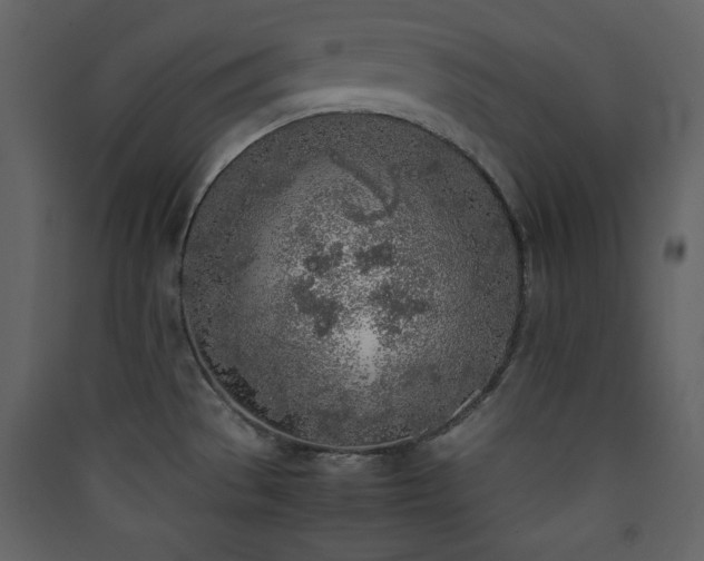 X0000090411529200707131136