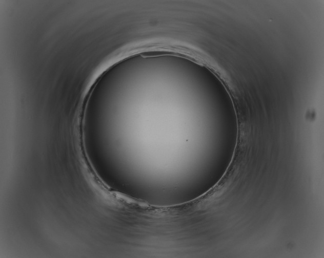 X0000090411530200707131136
