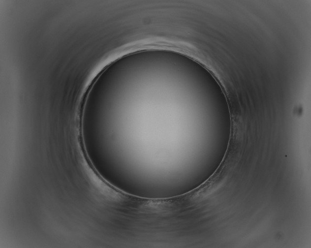 X0000090411531200707131136