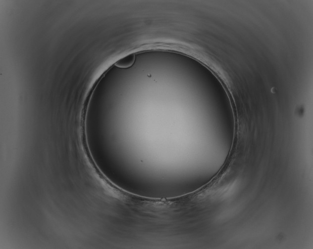X0000090411533200707131136