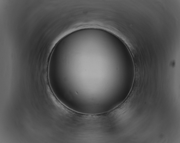X0000090411534200707131136