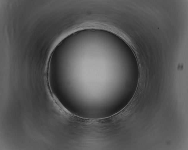 X0000090411536200707131136