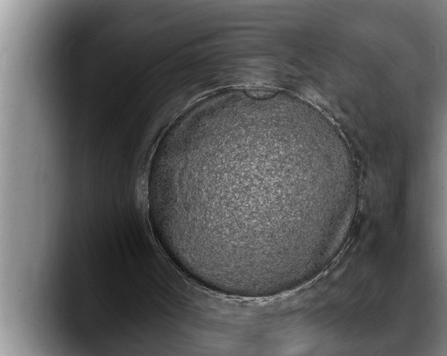 X0000090410002200707201108