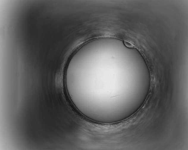 X0000090410006200707201108