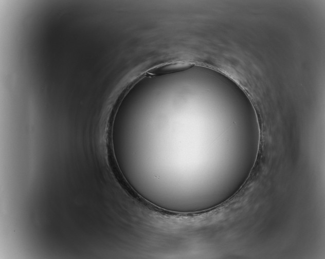 X0000090410007200707201108