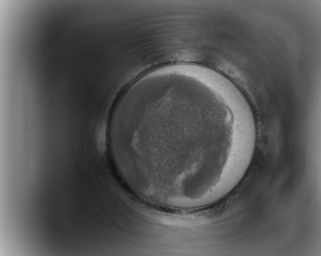 X0000090410012200707201108