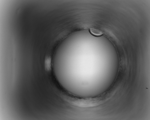 X0000090410024200707201108