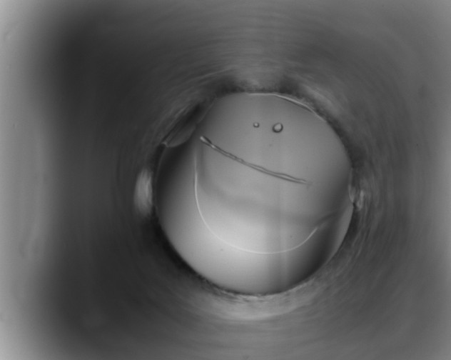 X0000090410027200707201108