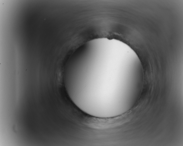 X0000090410037200707201108