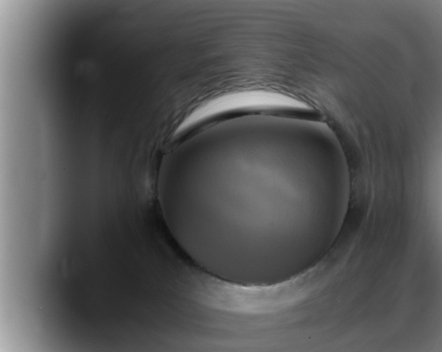 X0000090410039200707201108