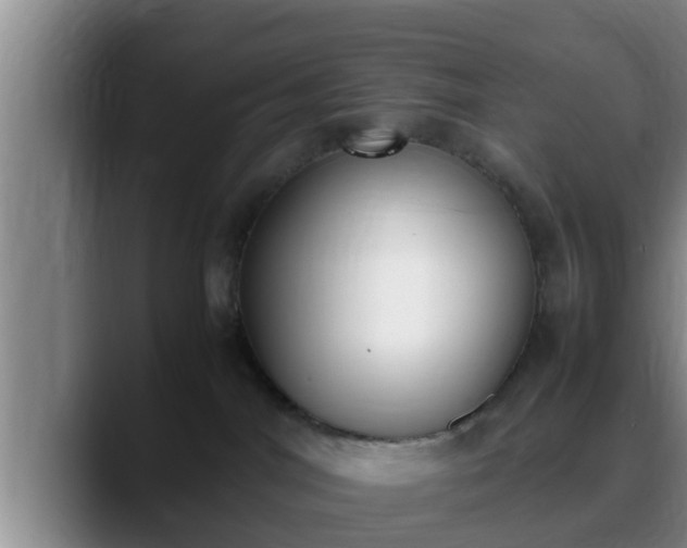 X0000090410044200707201108