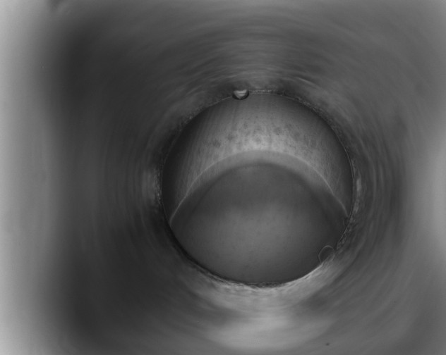 X0000090410048200707201108
