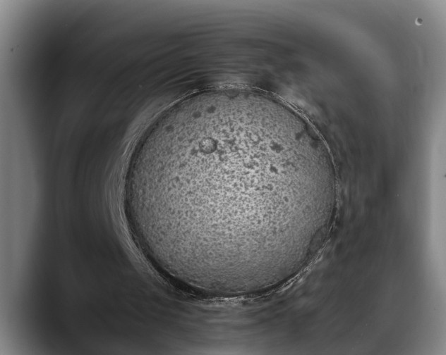 X0000090410049200707201107