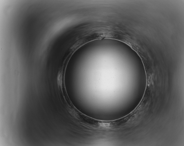 X0000090410052200707201107