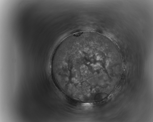 X0000090410053200707201107