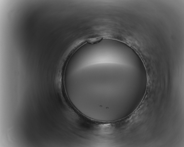 X0000090410054200707201107