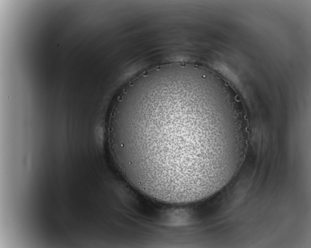 X0000090410063200707201107