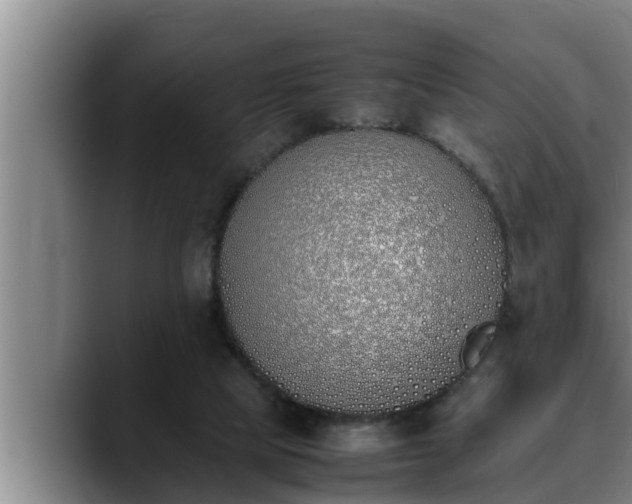 X0000090410065200707201108