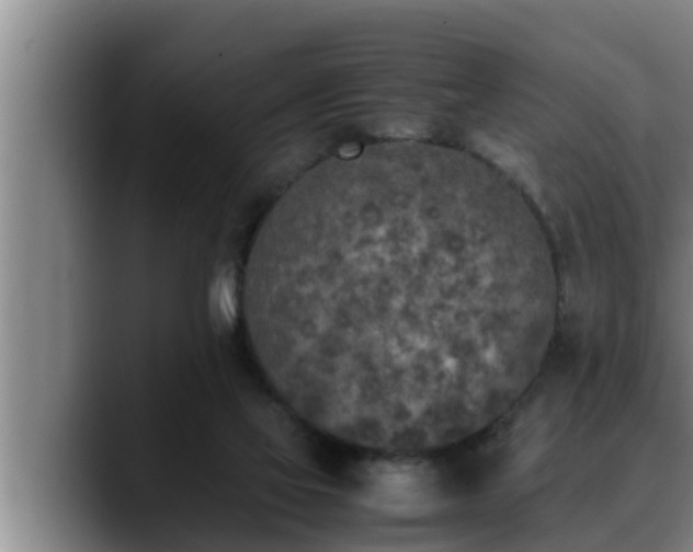 X0000090410069200707201108