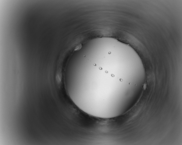 X0000090410072200707201108