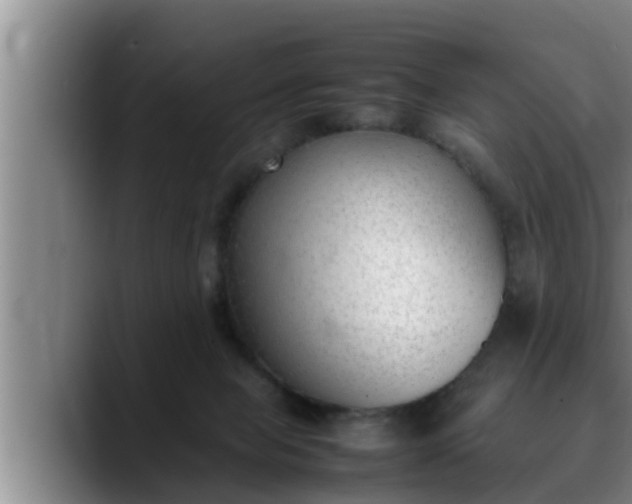 X0000090410077200707201108