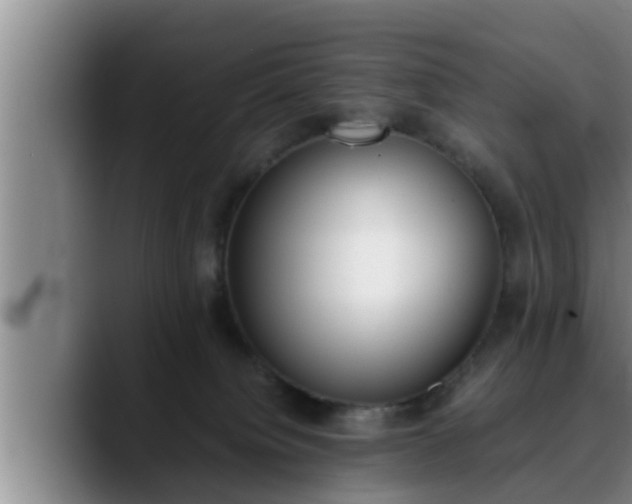 X0000090410084200707201108