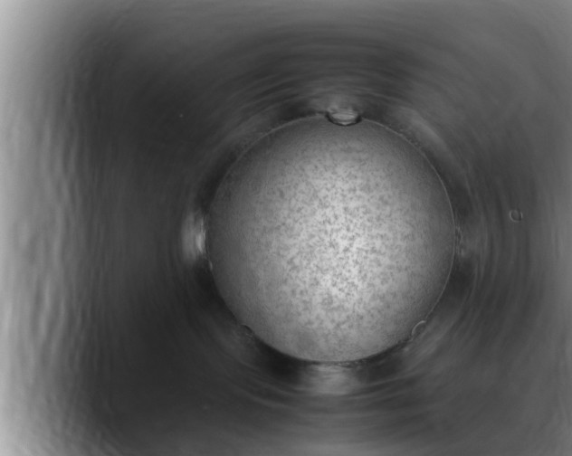 X0000090410095200707201108