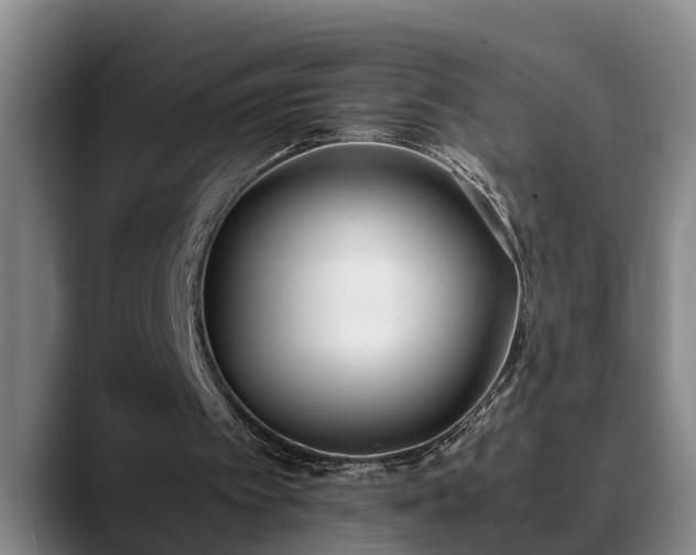 X0000090410097200707201107