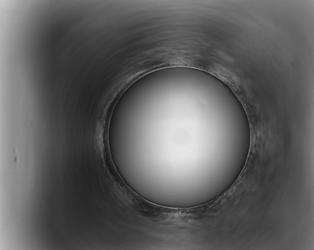 X0000090410098200707201107