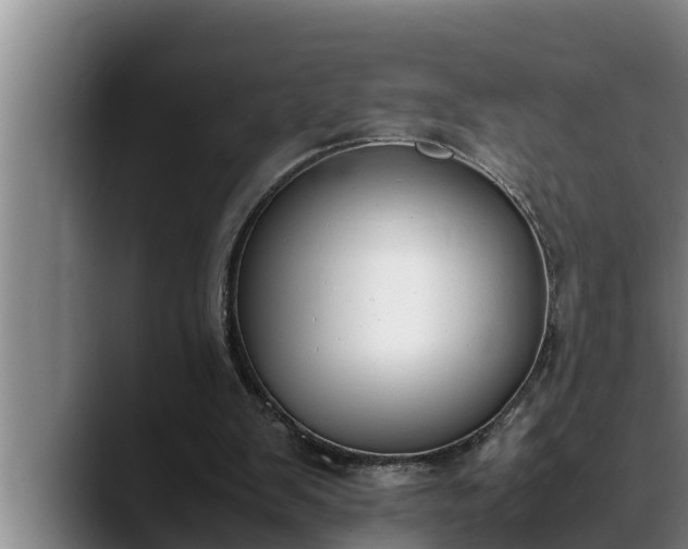 X0000090410103200707201107