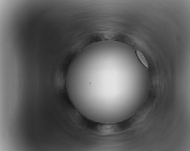 X0000090410129200707201107
