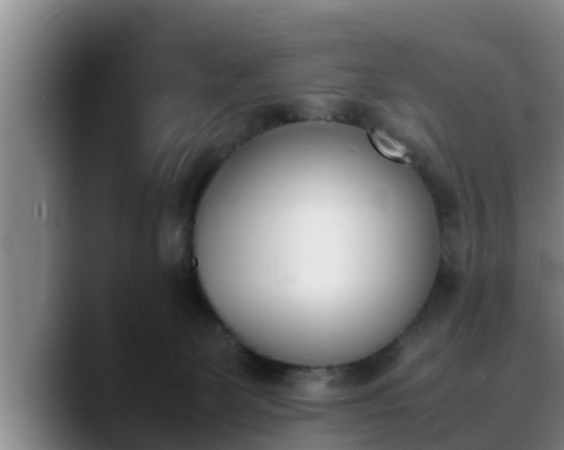 X0000090410131200707201107