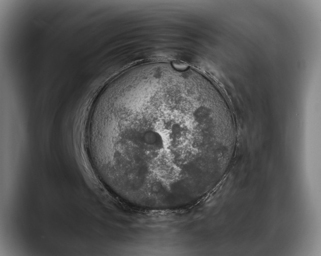 X0000090410145200707201106