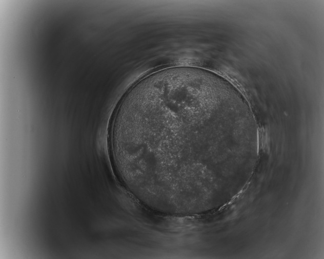 X0000090410147200707201106